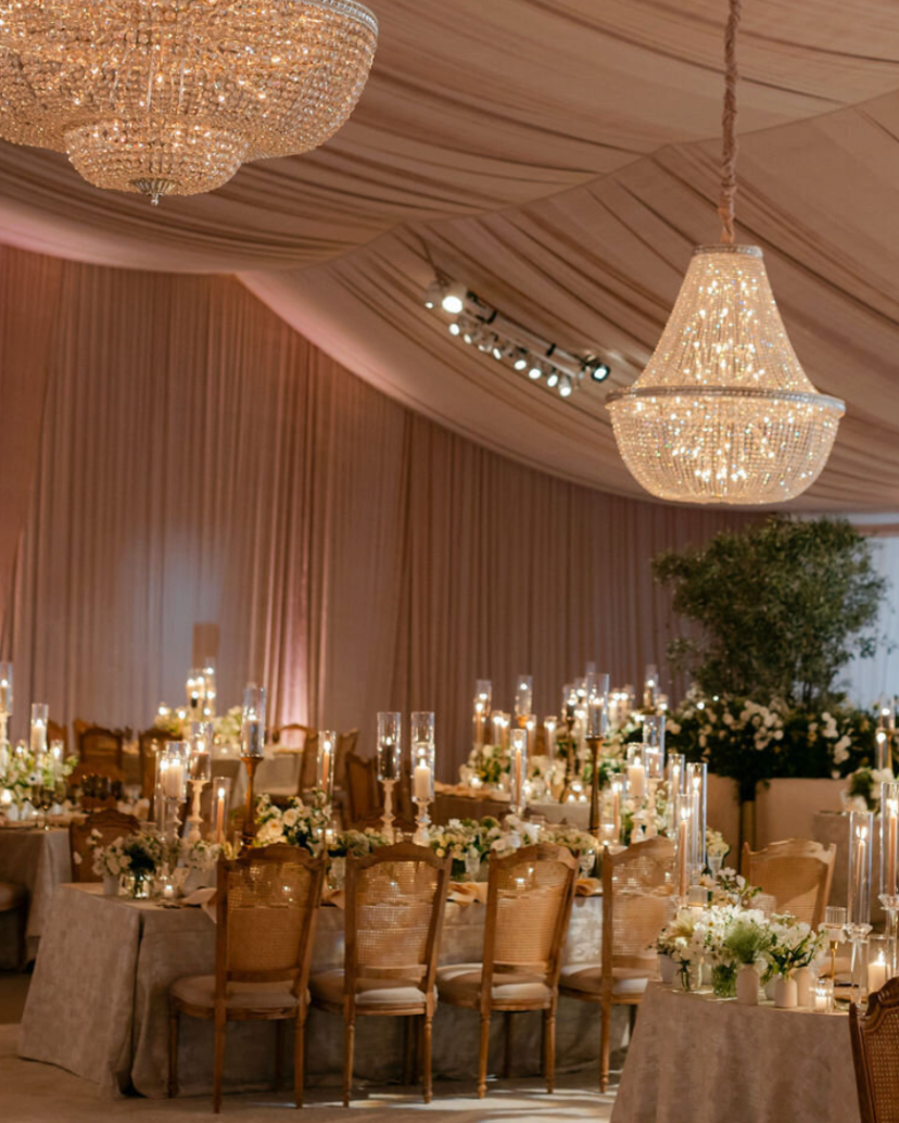 Niki Rhodes Photographer