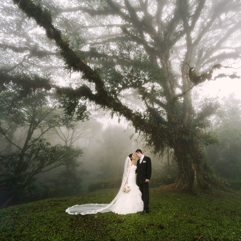 Laura Alpizar Photographer Laura Alpizar Photographer