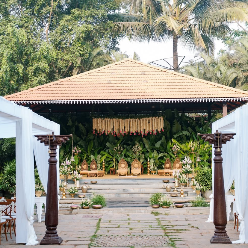 The Peacock Grove  Venues