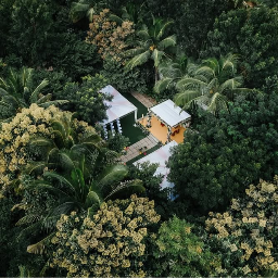 Farmhouse Collective