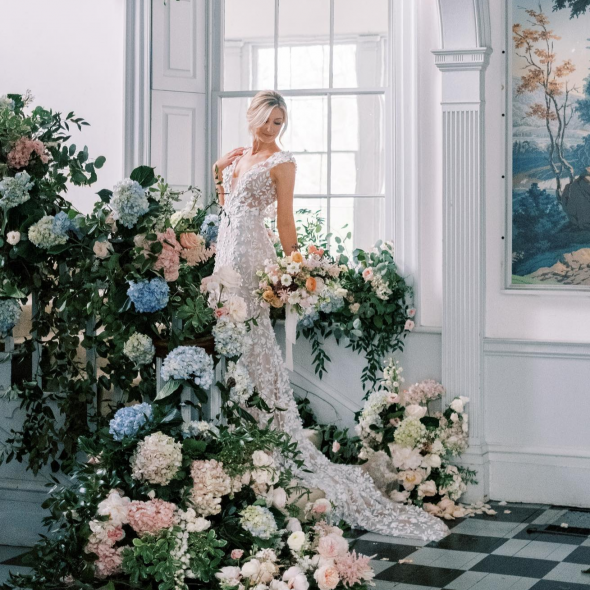 Denise Marie Photographer