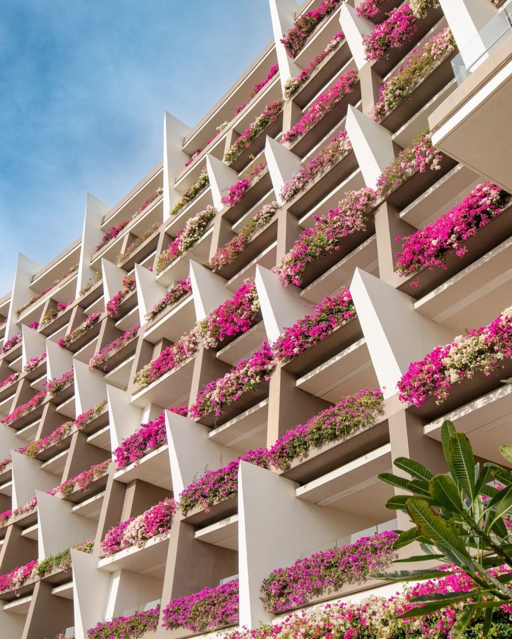 Grand Velas Los Cabos