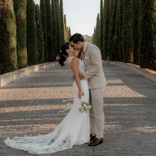 Love Bears Photographer