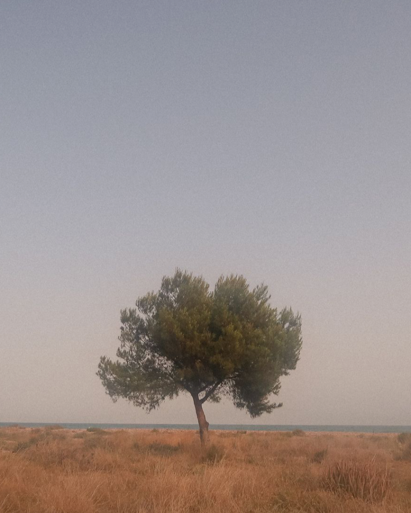 Ksenia Zudinova Photographer