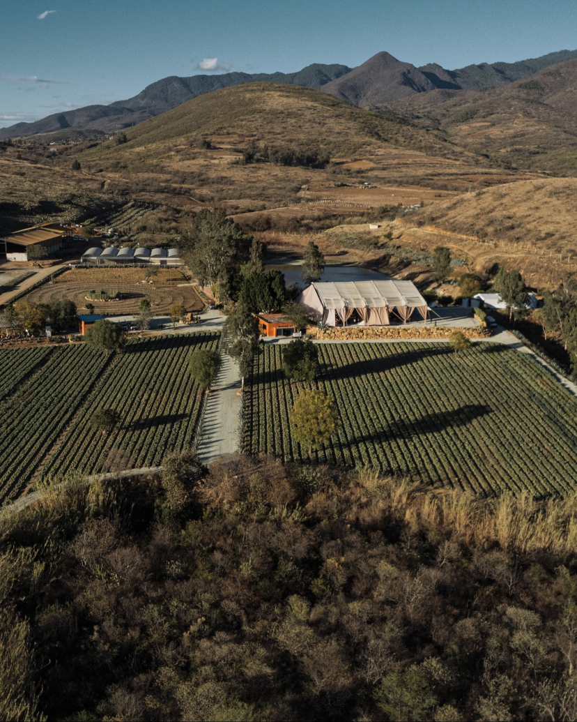 Loma Noble Agaves Selectos Venues