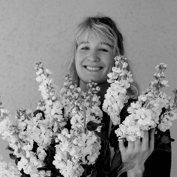 Film and Foliage