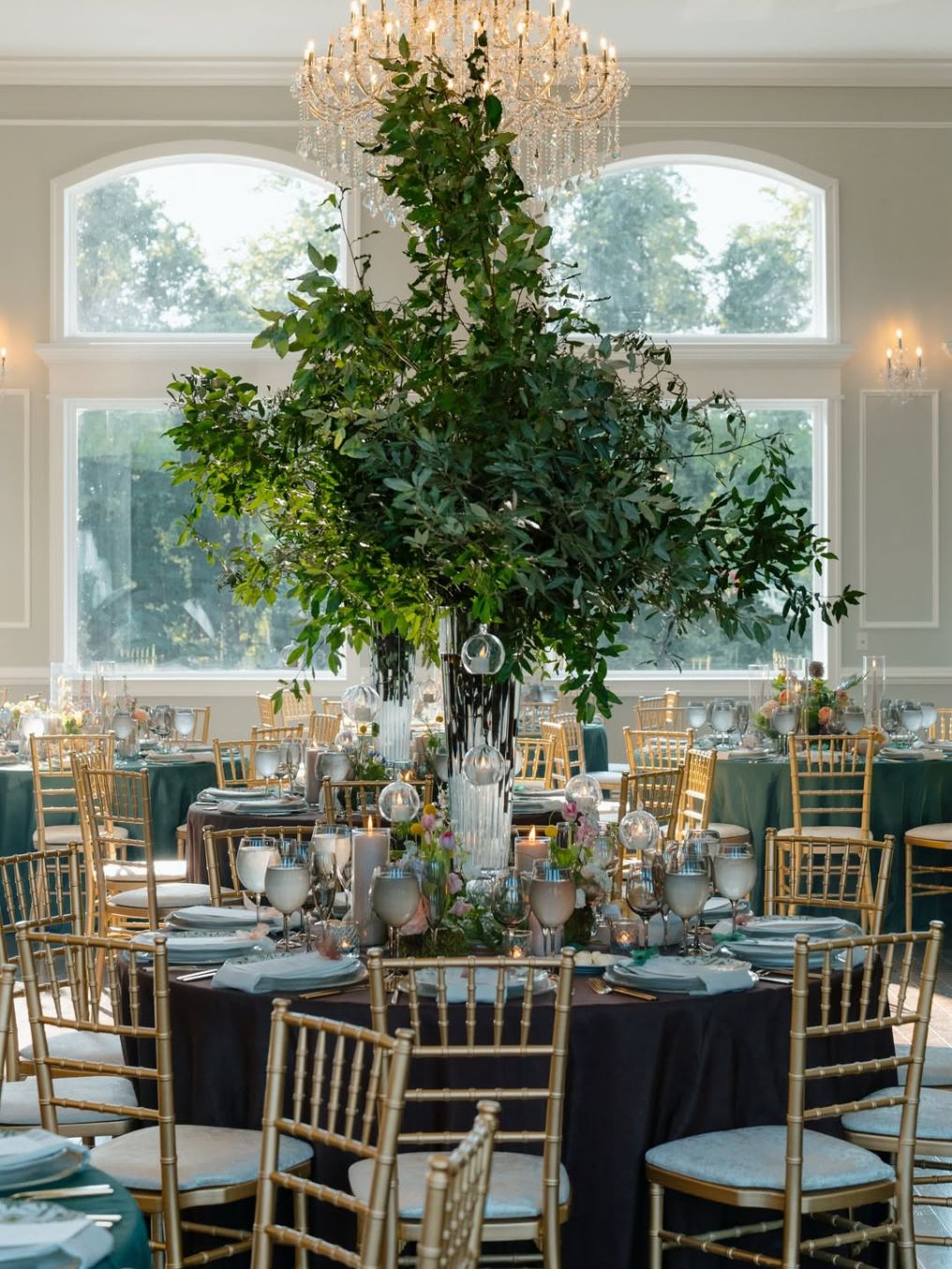 Terry Kaye Events Planner Terry Kaye Events Planner photo
