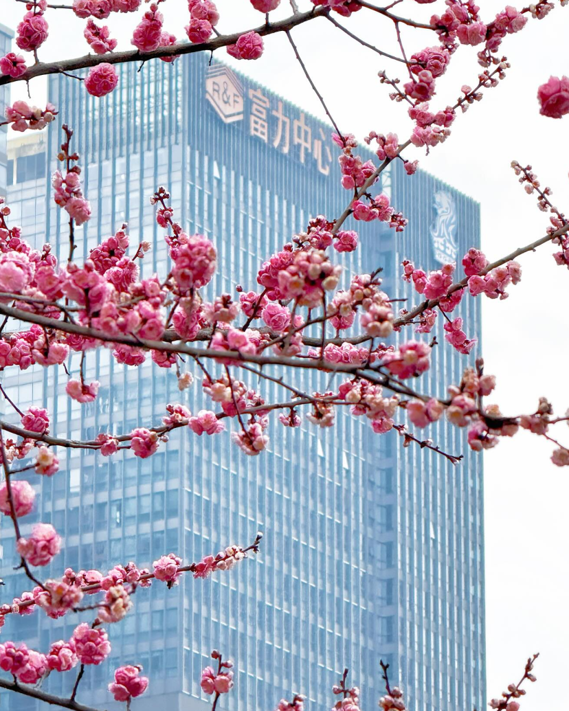 The Ritz-Carlton, Chengdu Venues