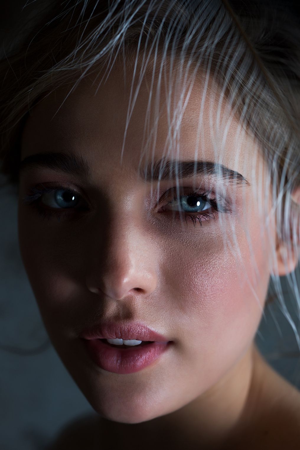 amor+psyche Photographer amor+psyche Photographer photo