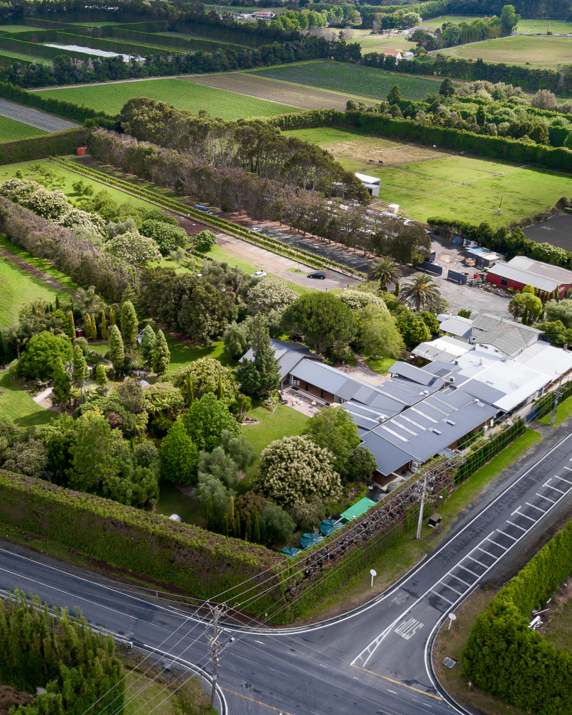 Markovina Vineyard Estate Venues