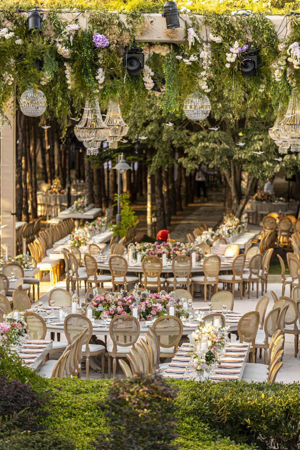 Sadi Events Planner Sadi Events Planner photo