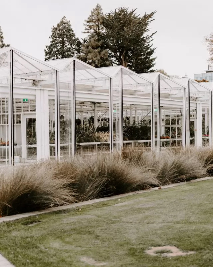 Ilex Café & Events Venues