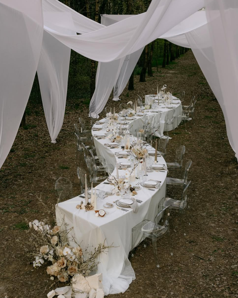 DanilaStella Planner