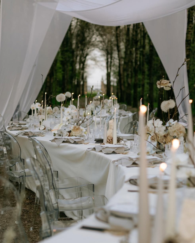 DanilaStella Planner