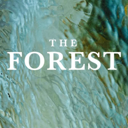 The Forest at The Veranda