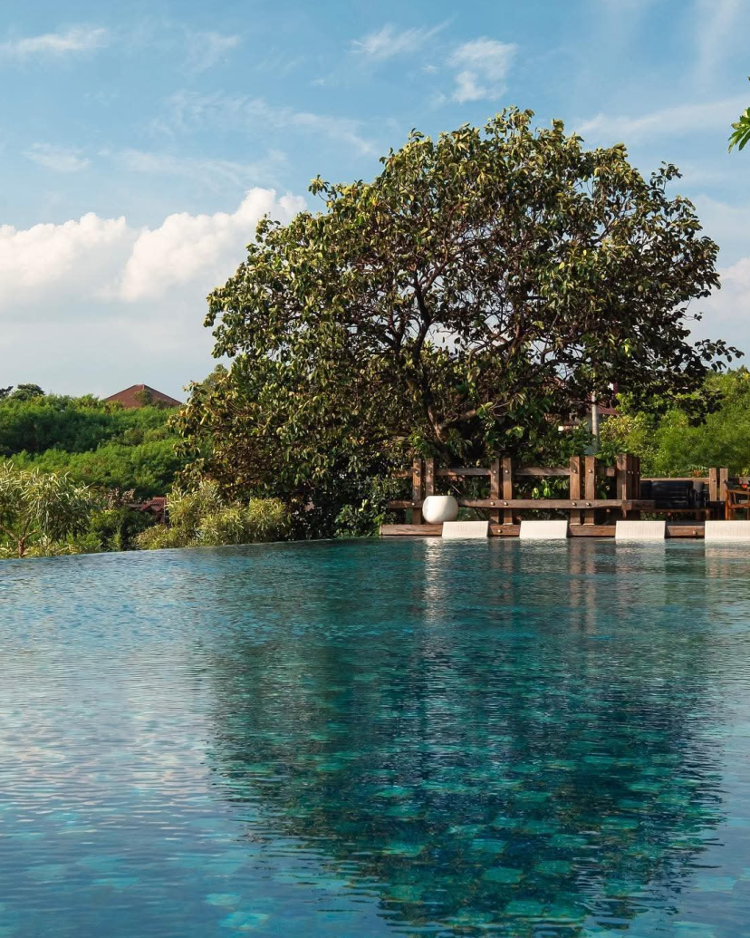 The Forest at The Veranda Venues