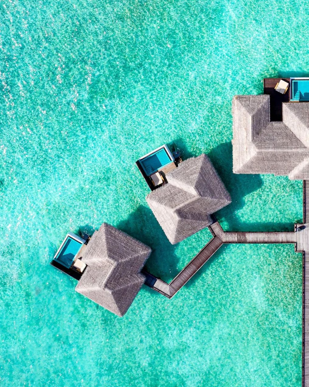 Sheraton Maldives Full Moon Resort & Spa Venue Sheraton Maldives Full Moon Resort & Spa Venue photo