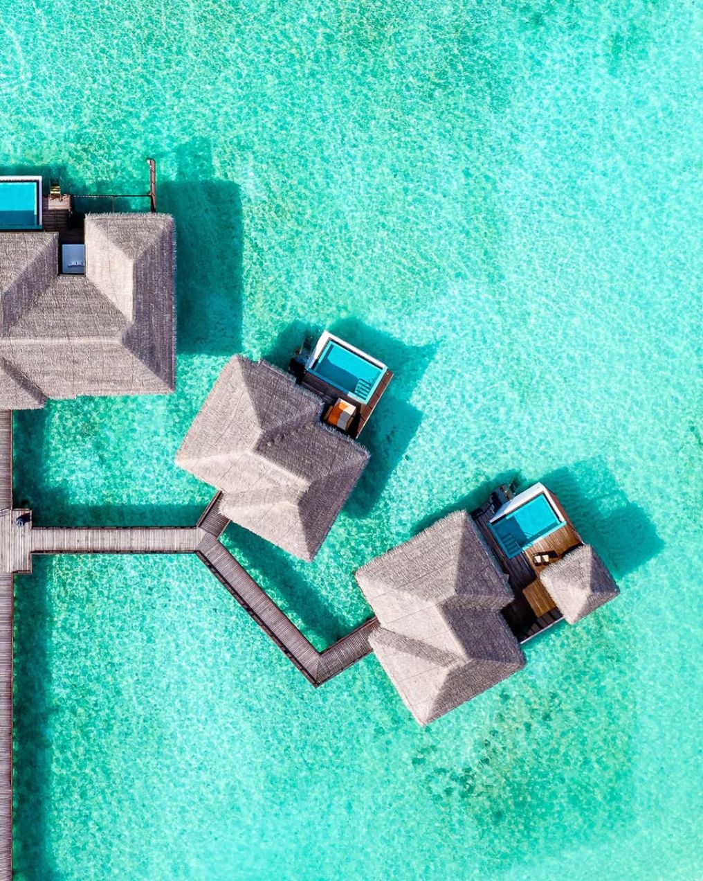 Sheraton Maldives Full Moon Resort & Spa Venue Sheraton Maldives Full Moon Resort & Spa Venue photo