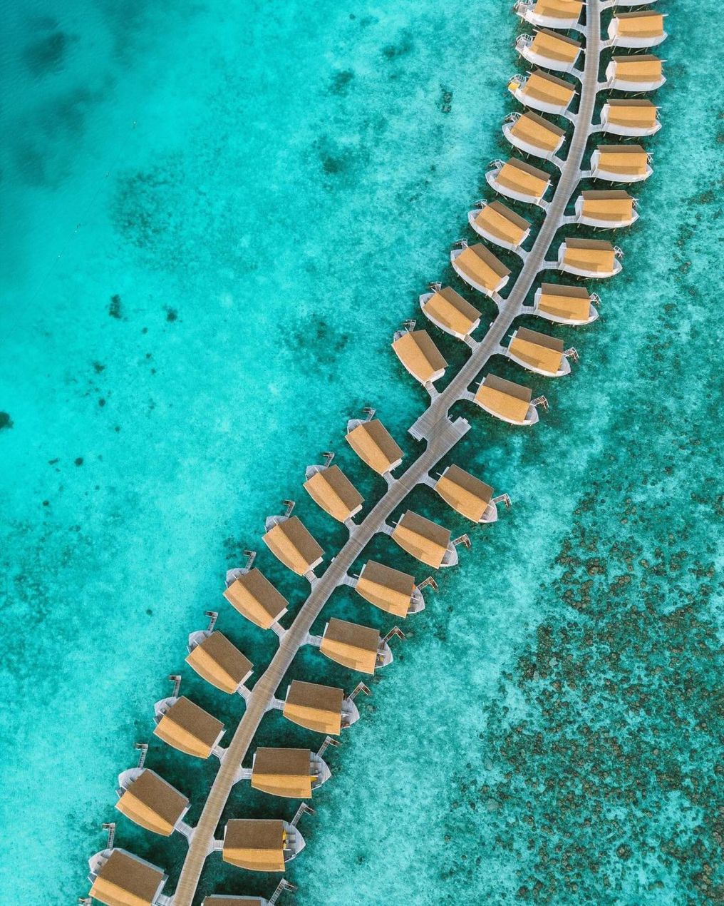 Centara Ras Fushi Resort & Spa Maldives Venue Centara Ras Fushi Resort & Spa Maldives Venue photo