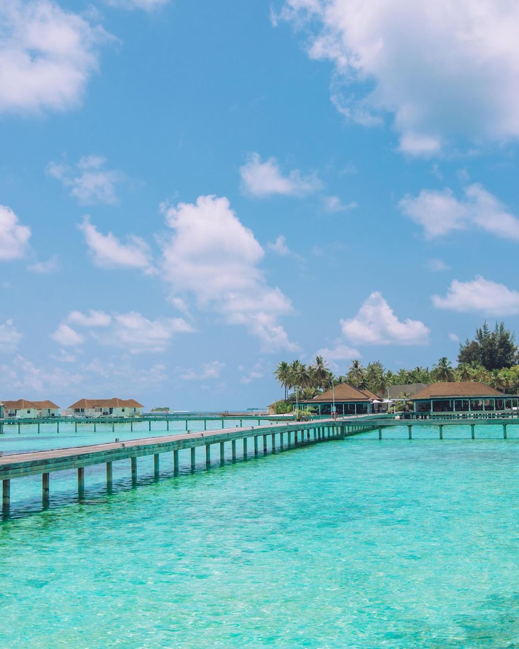 Machchafushi Island Resort & Spa Maldives Venue Machchafushi Island Resort & Spa Maldives Venue photo