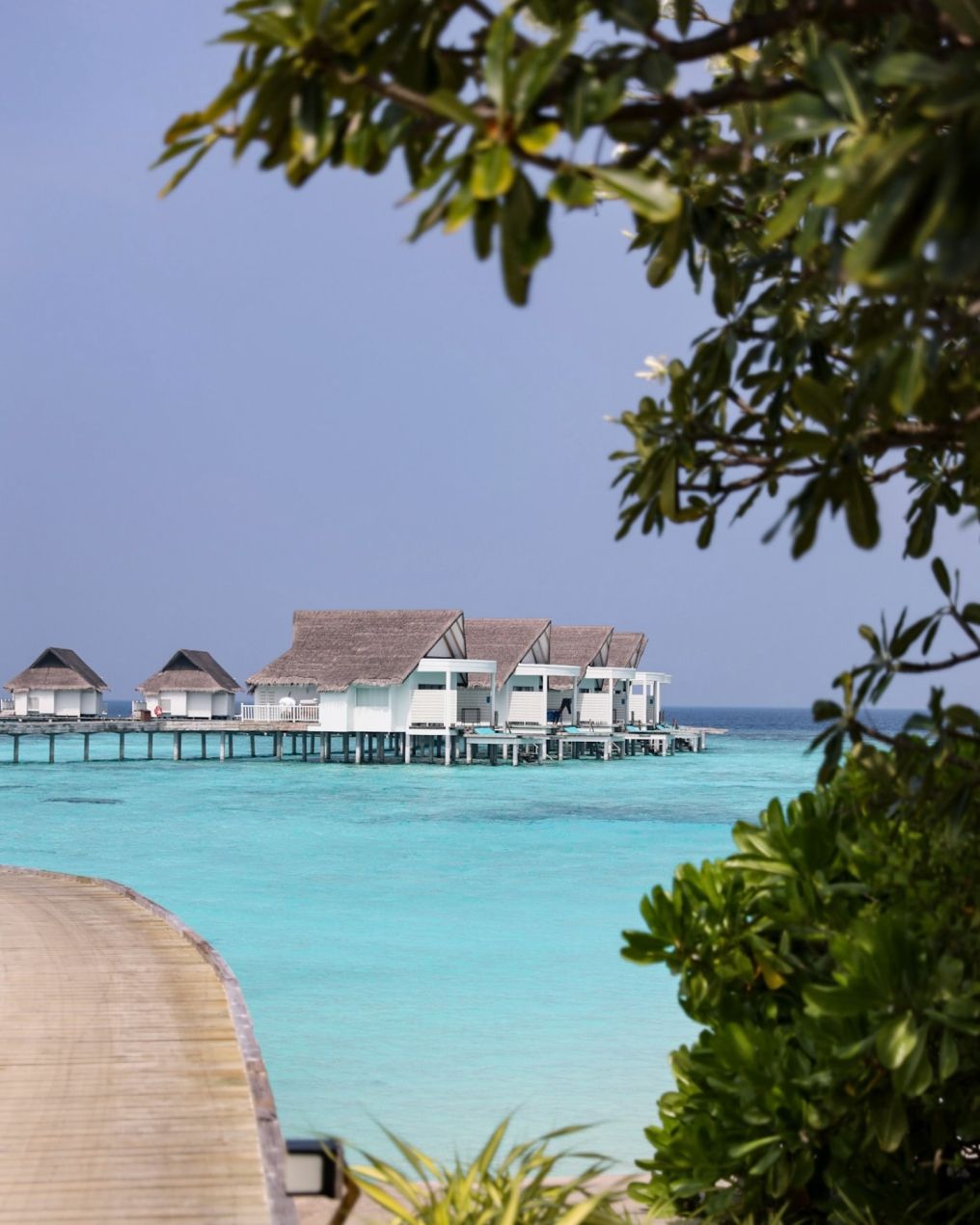Machchafushi Island Resort & Spa Maldives Venue Machchafushi Island Resort & Spa Maldives Venue photo