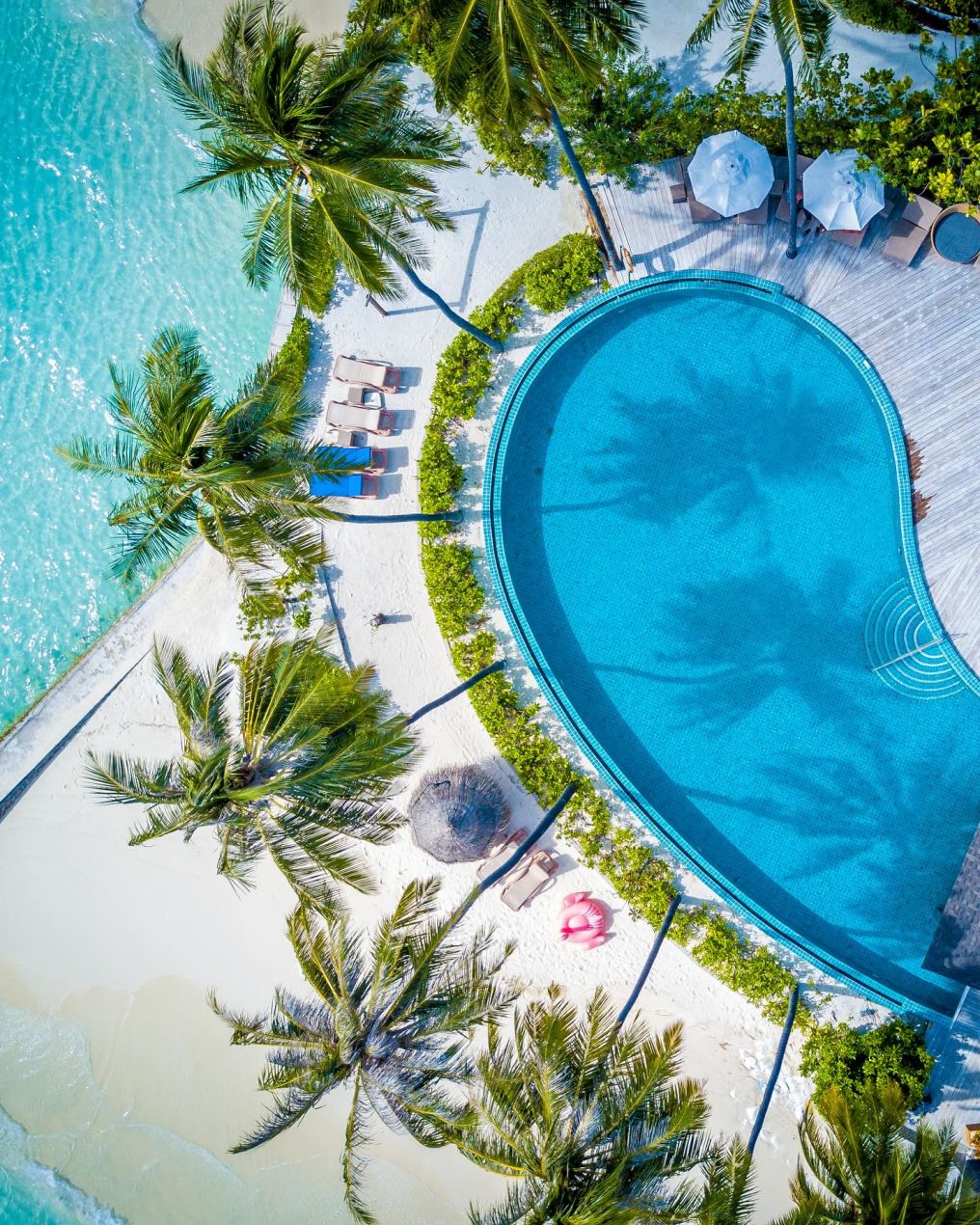 Machchafushi Island Resort & Spa Maldives Venue Machchafushi Island Resort & Spa Maldives Venue photo