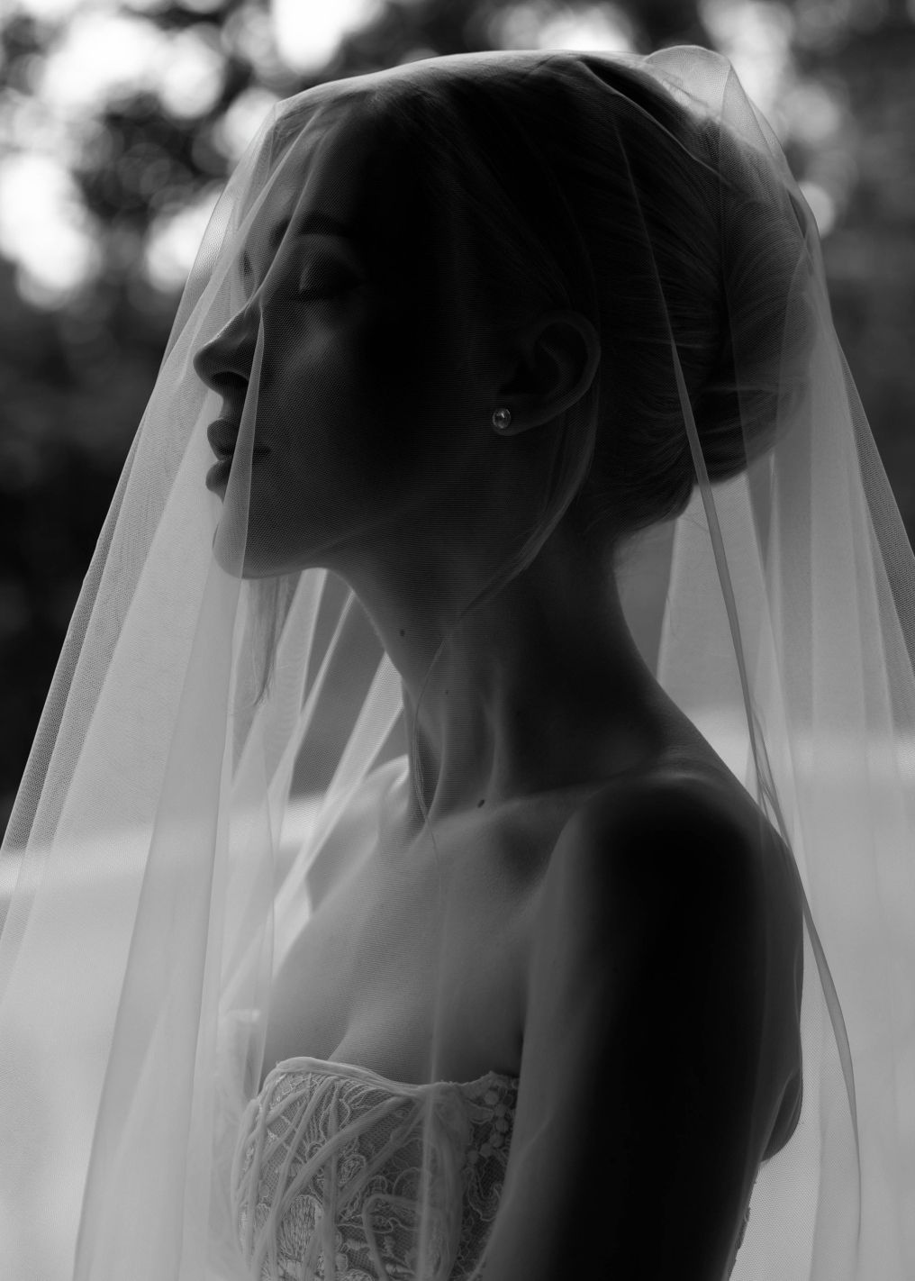 Caseywedstudio Photographer Caseywedstudio Photographer photo