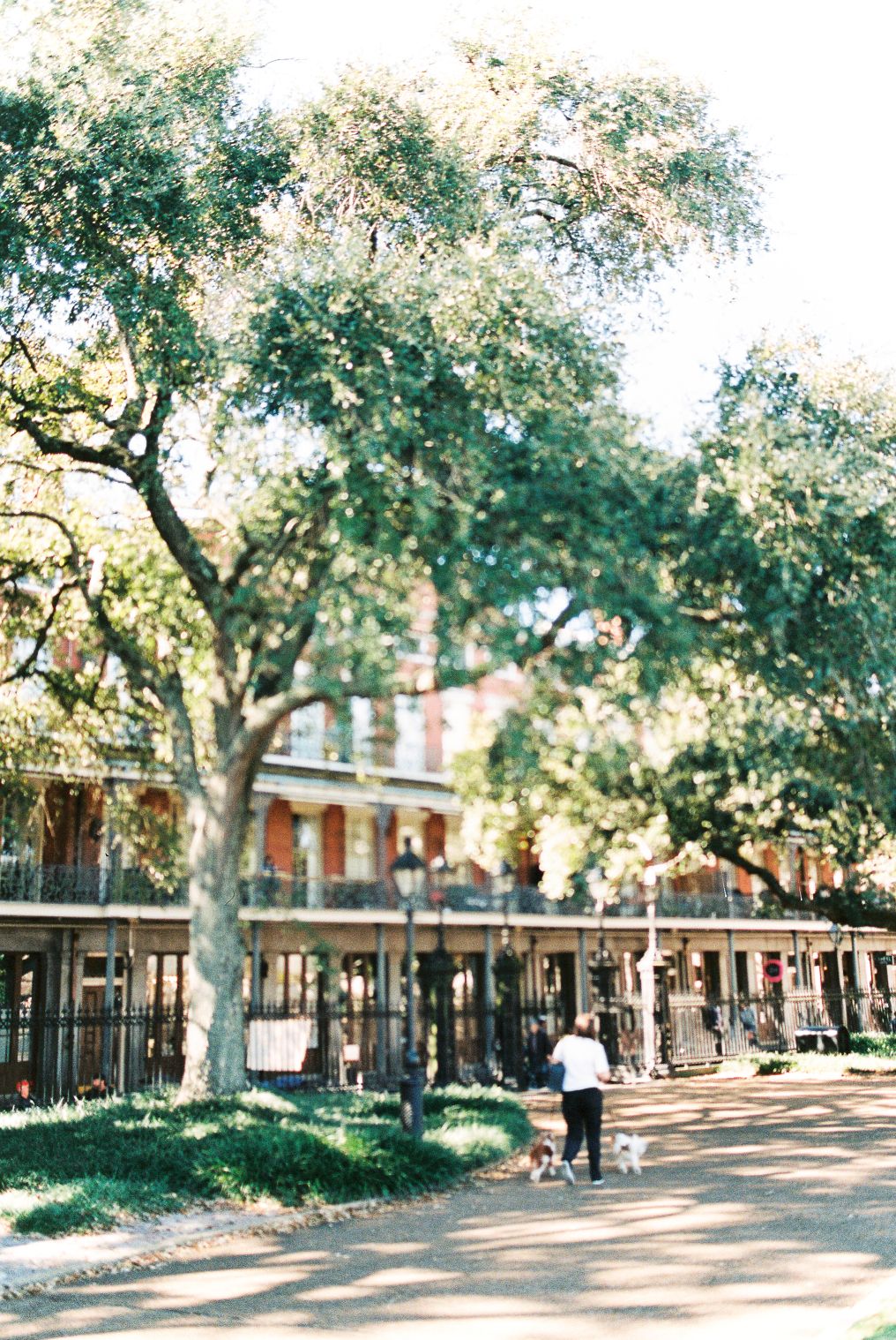 Elizabeth Hoard Photographer  Elizabeth Hoard Photographer photo