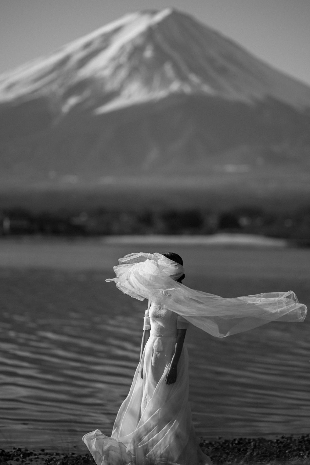 37 Frames Photographer 37 Frames Photographer photo