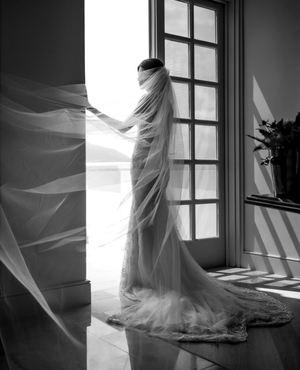 37 Frames Photographer 37 Frames Photographer photo