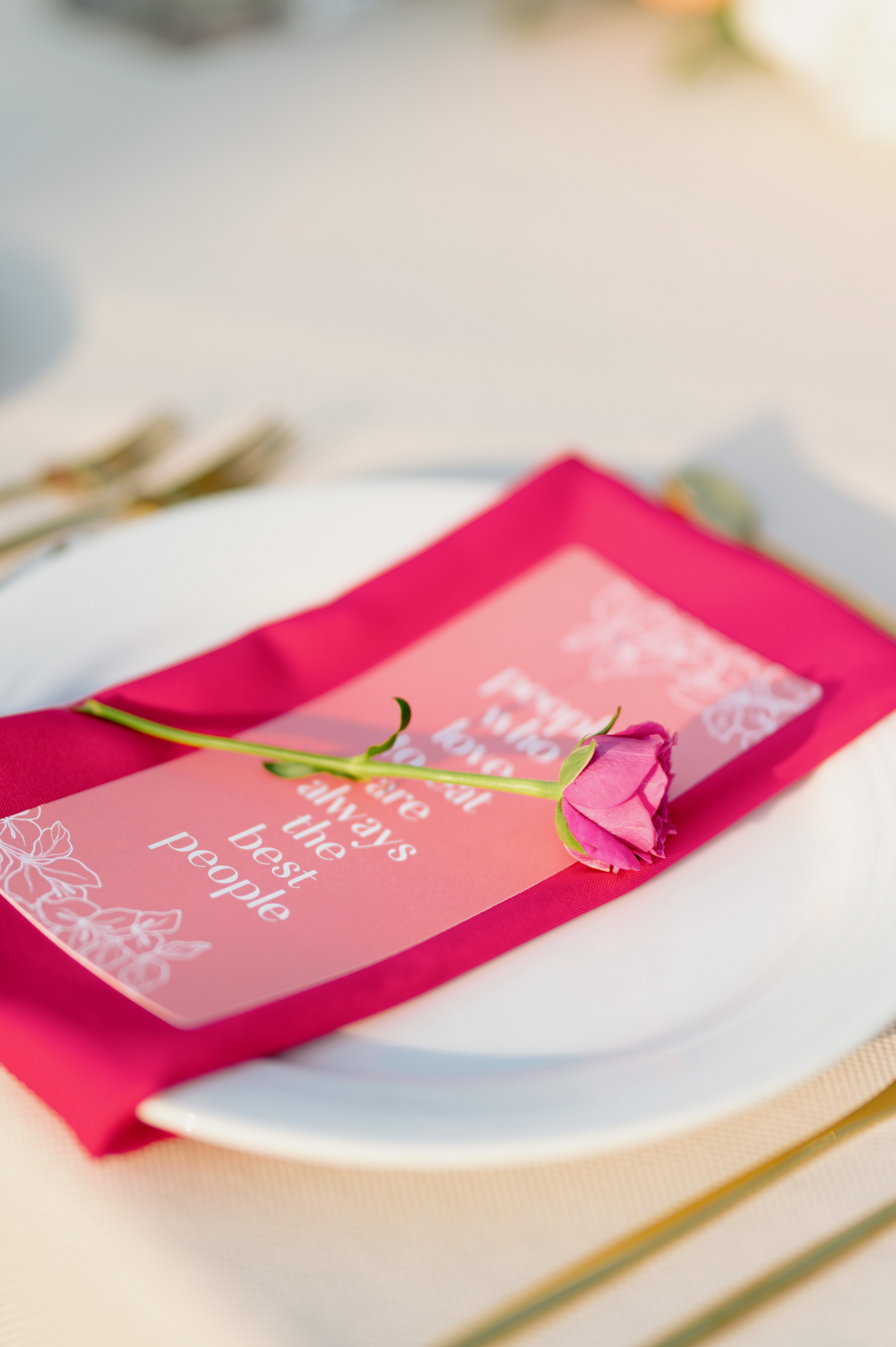 Krishna and Sagar's Destination Wedding in Puerto Vallarta photo