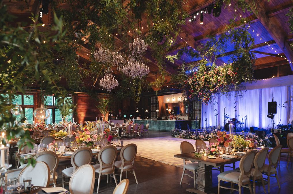 Brian David Photographer photo