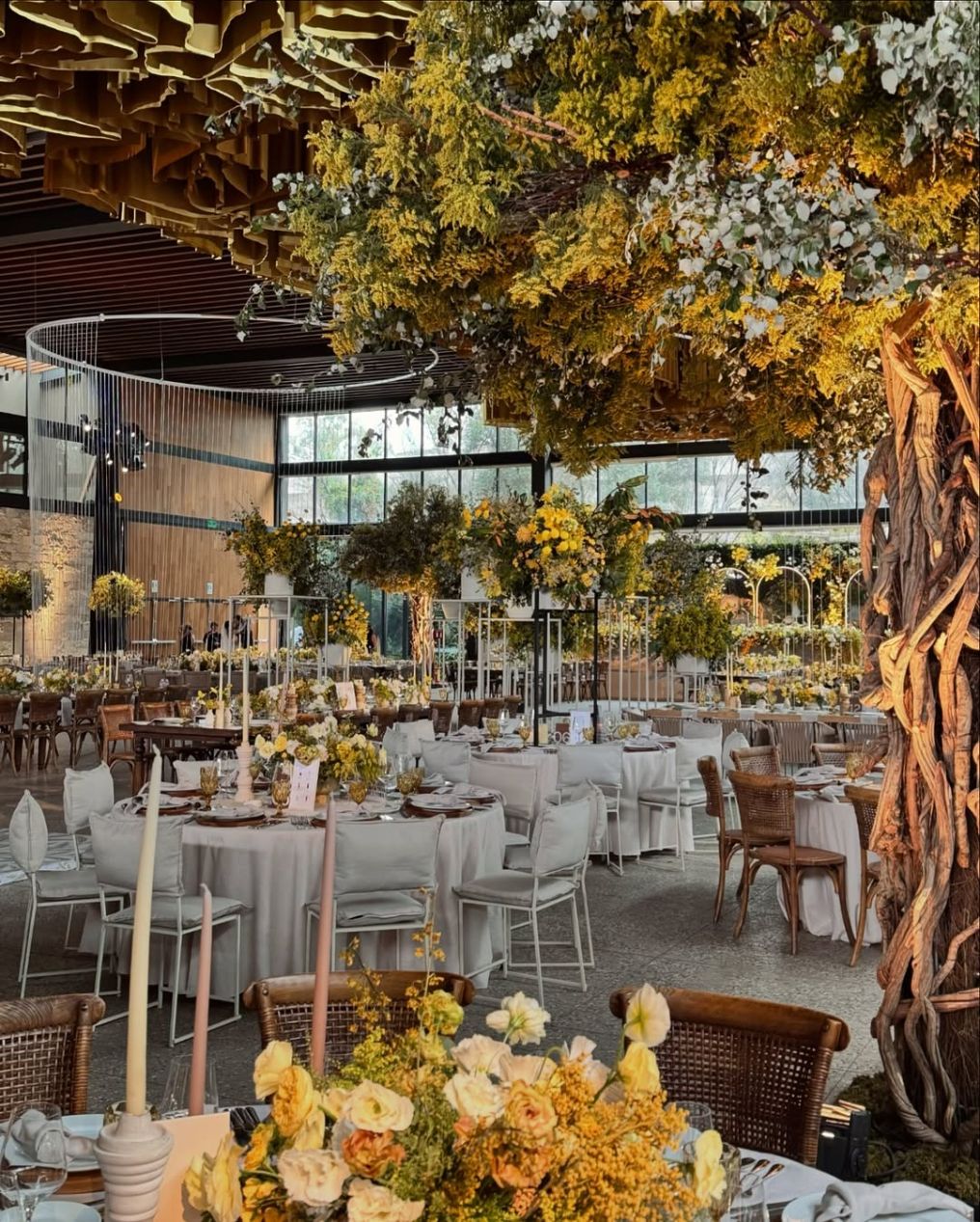 Gutierrez F Studio Planner photo