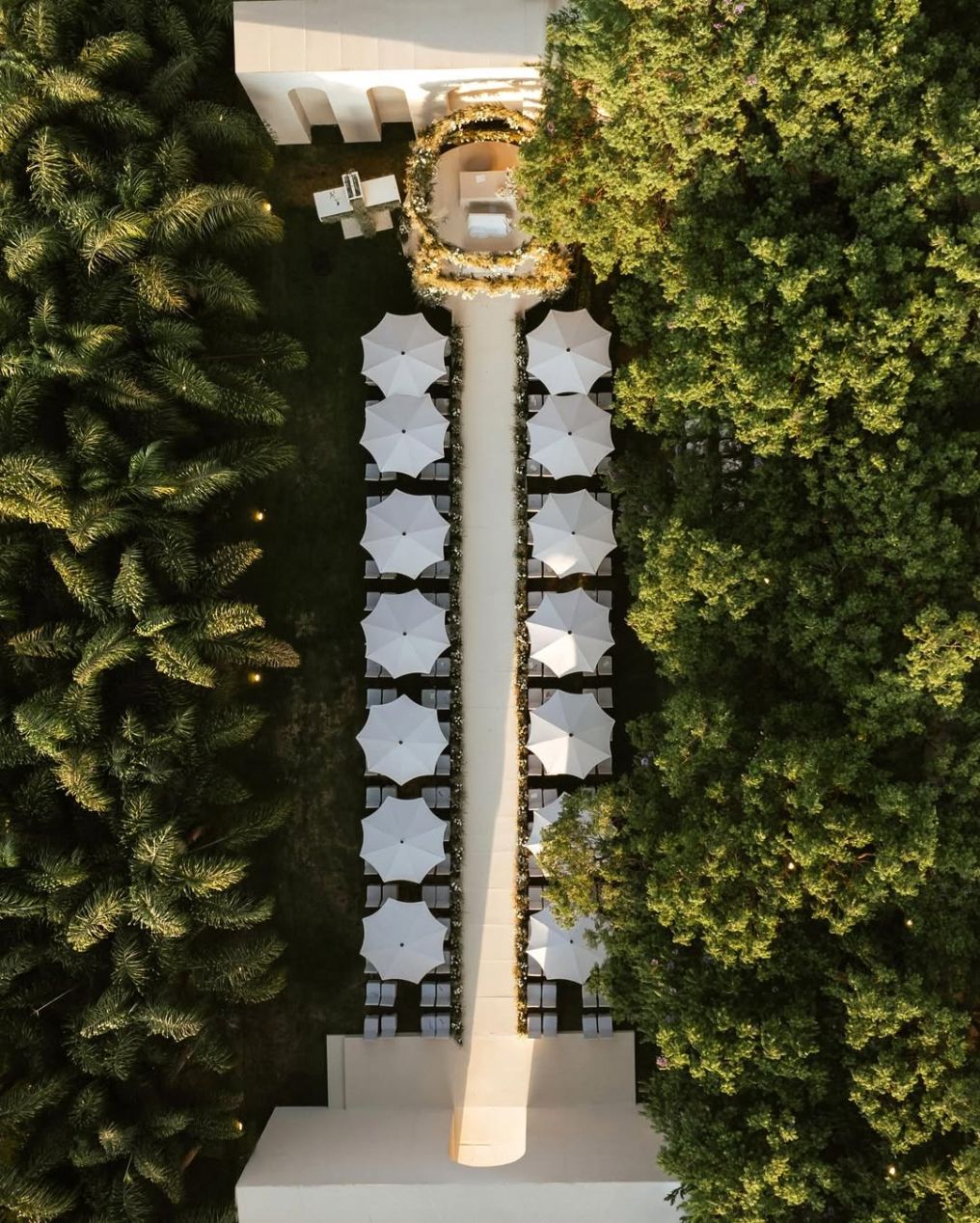 Peter de Anda Planner photo