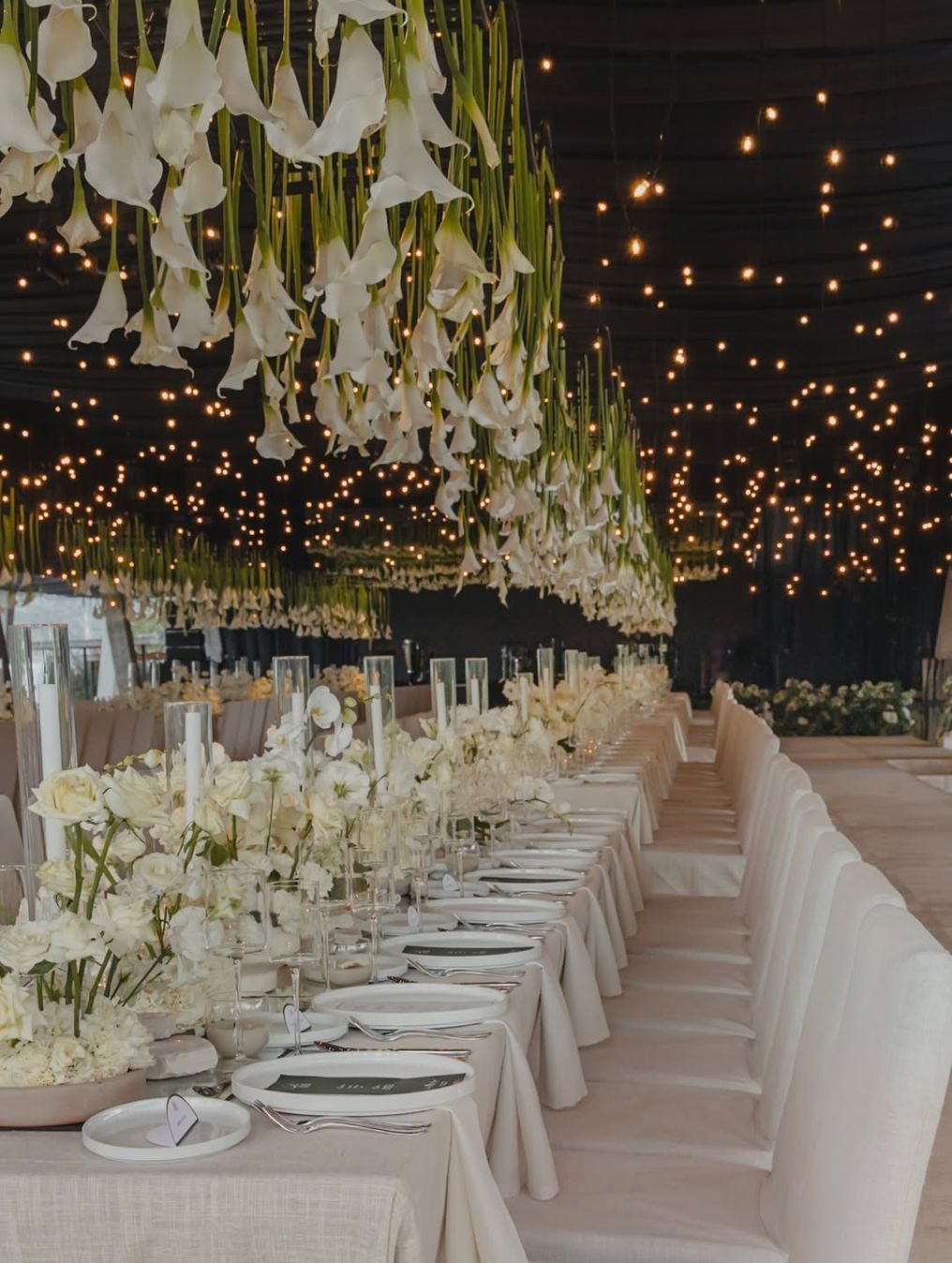 Juan Pablo Partida Planner photo