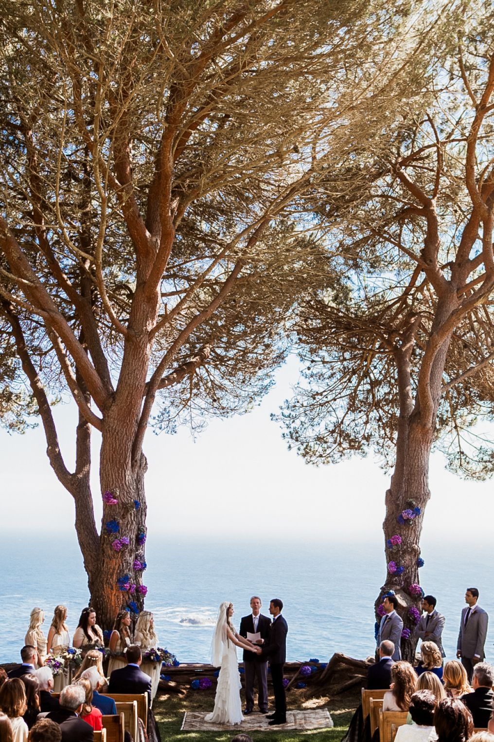 The Bellissimo Photographer photo