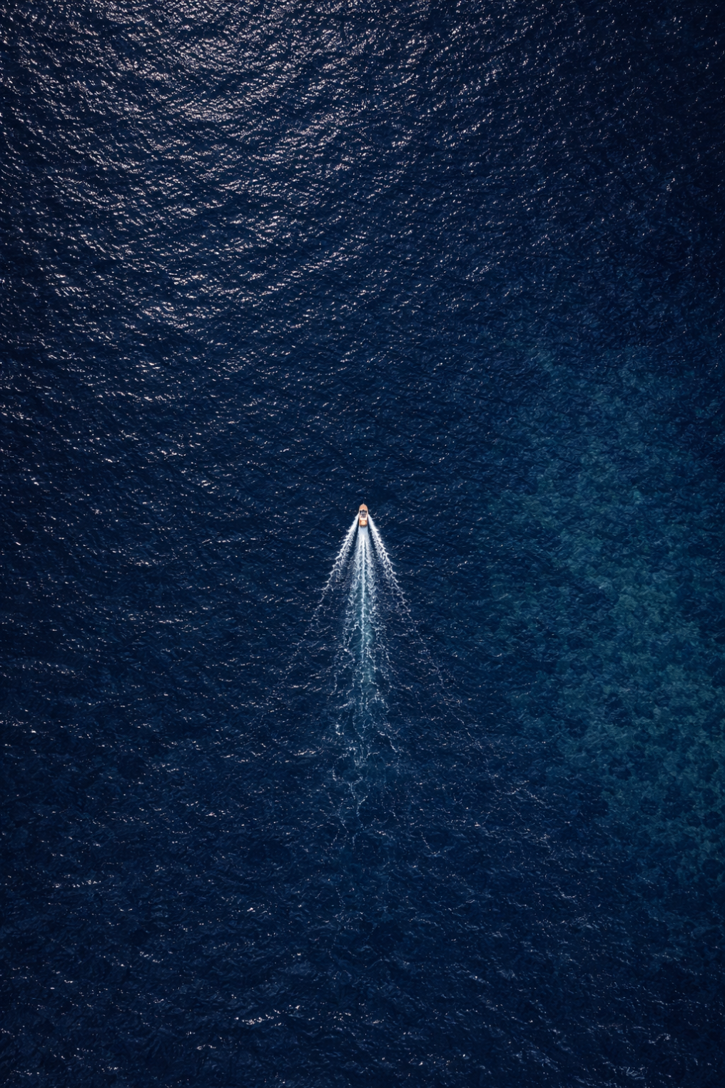 The Bellissimo Photographer photo