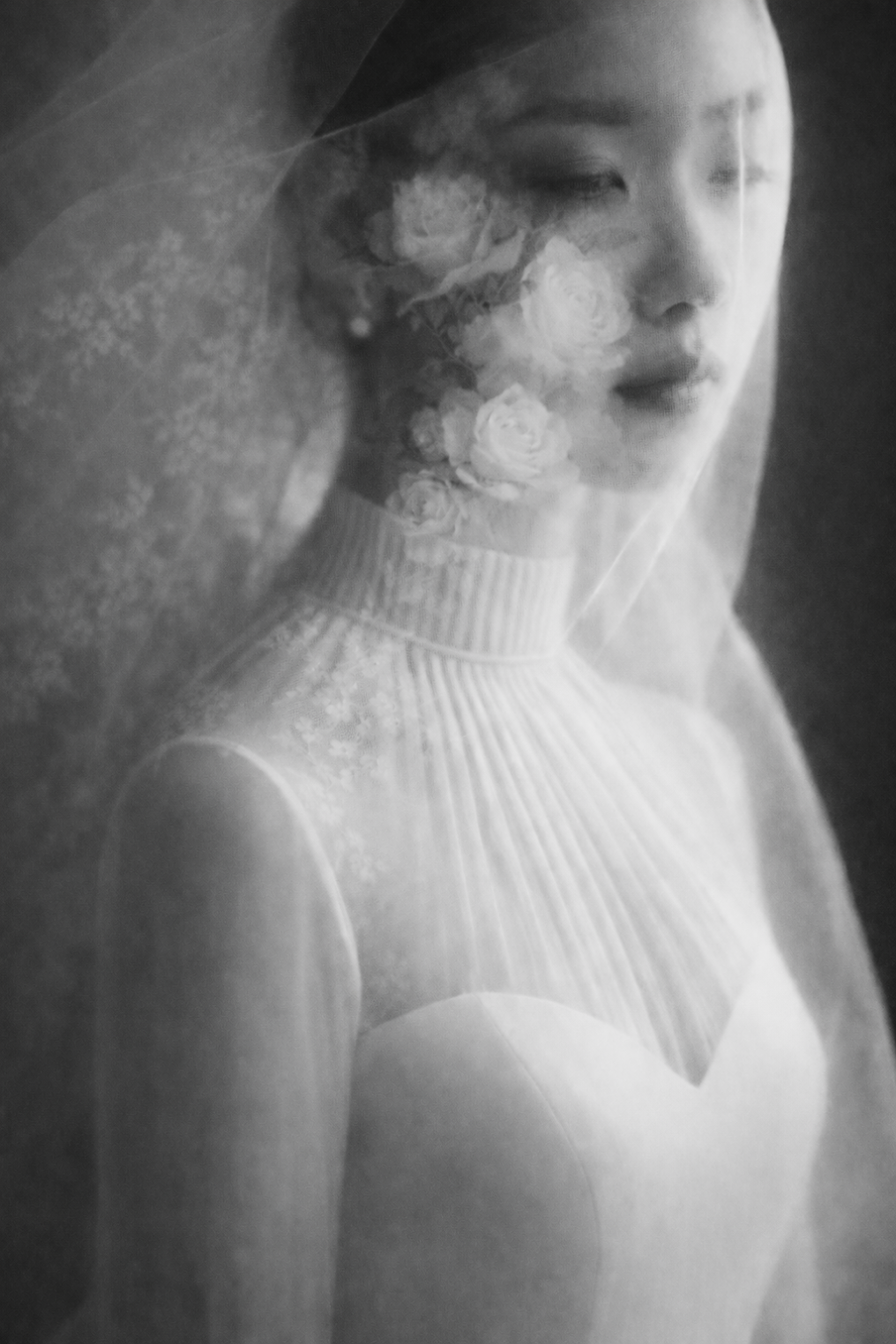 The Bellissimo Photographer photo