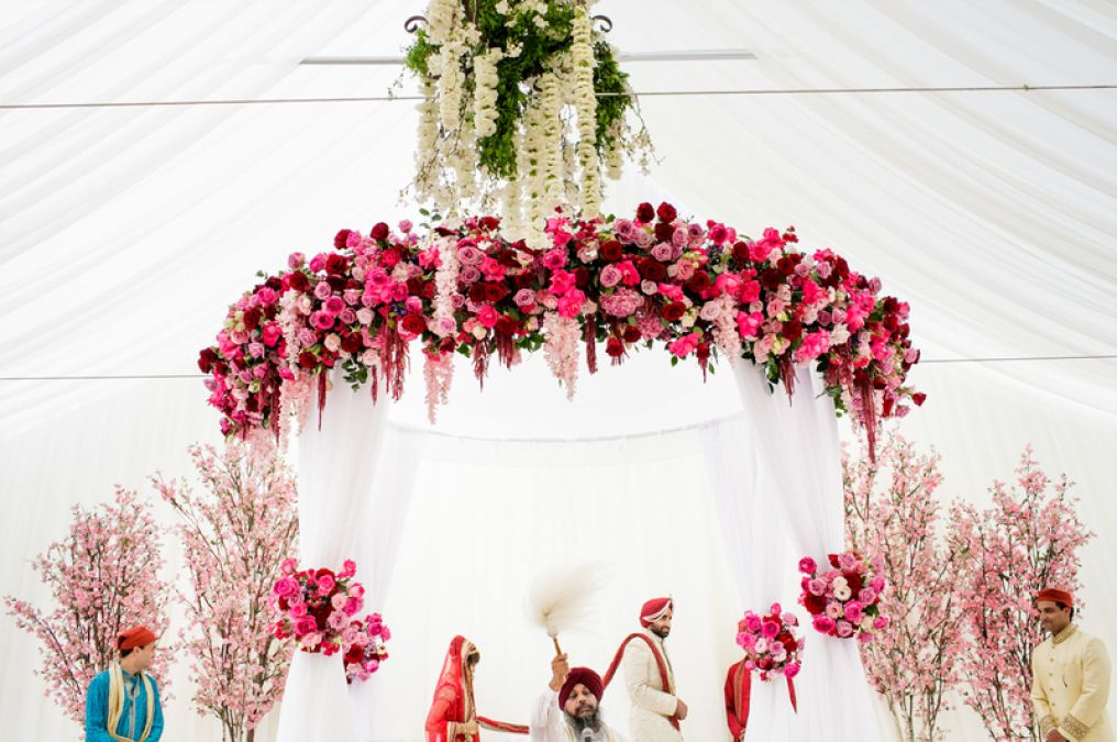 The Bellissimo Photographer photo