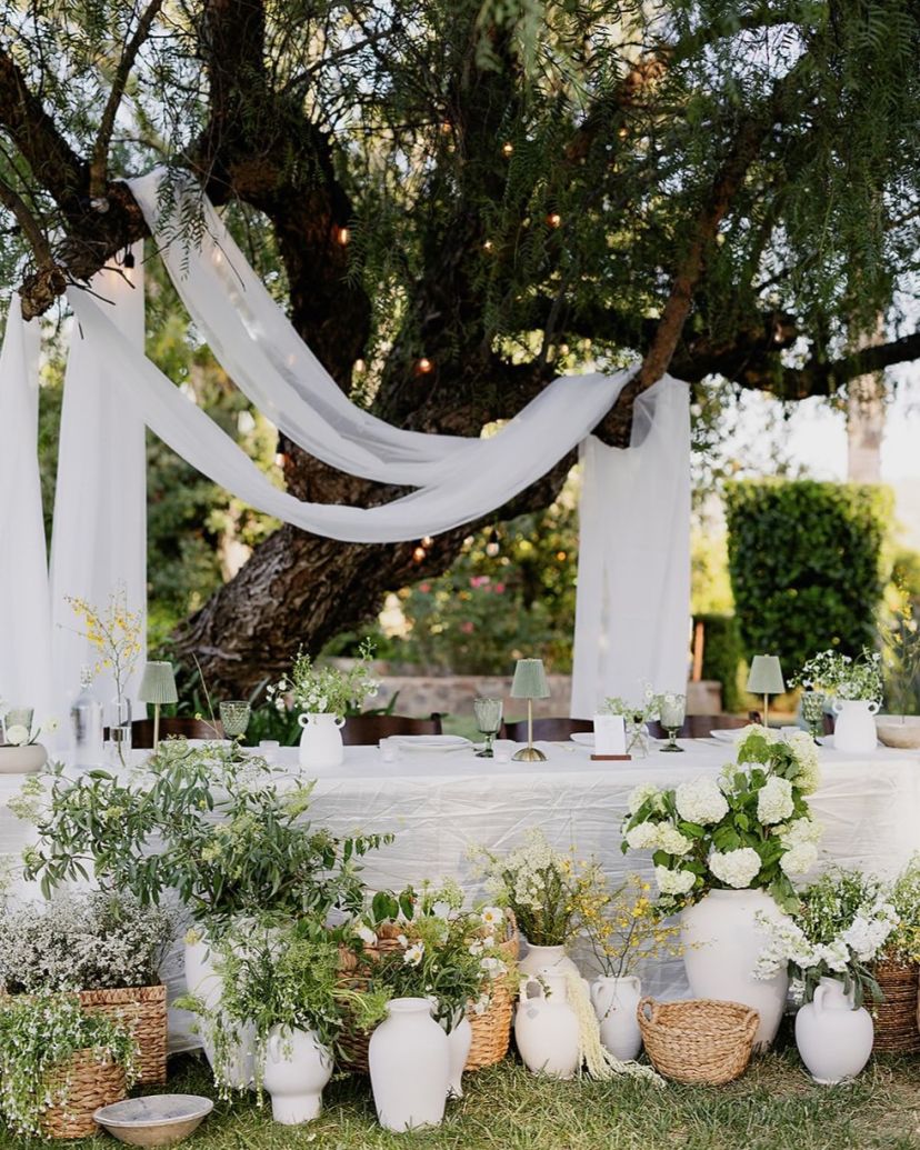 Petal and Peach Florist