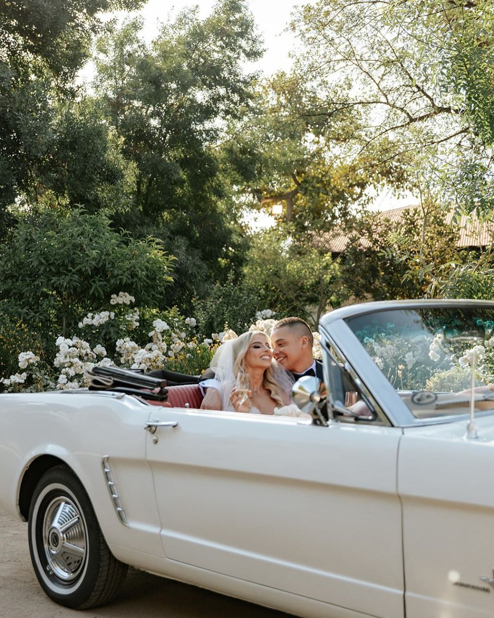 Schulz Fotografia Photographer photo