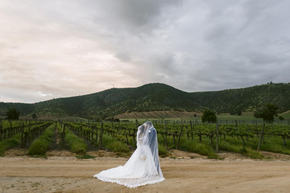 Schulz Fotografia Photographer photo