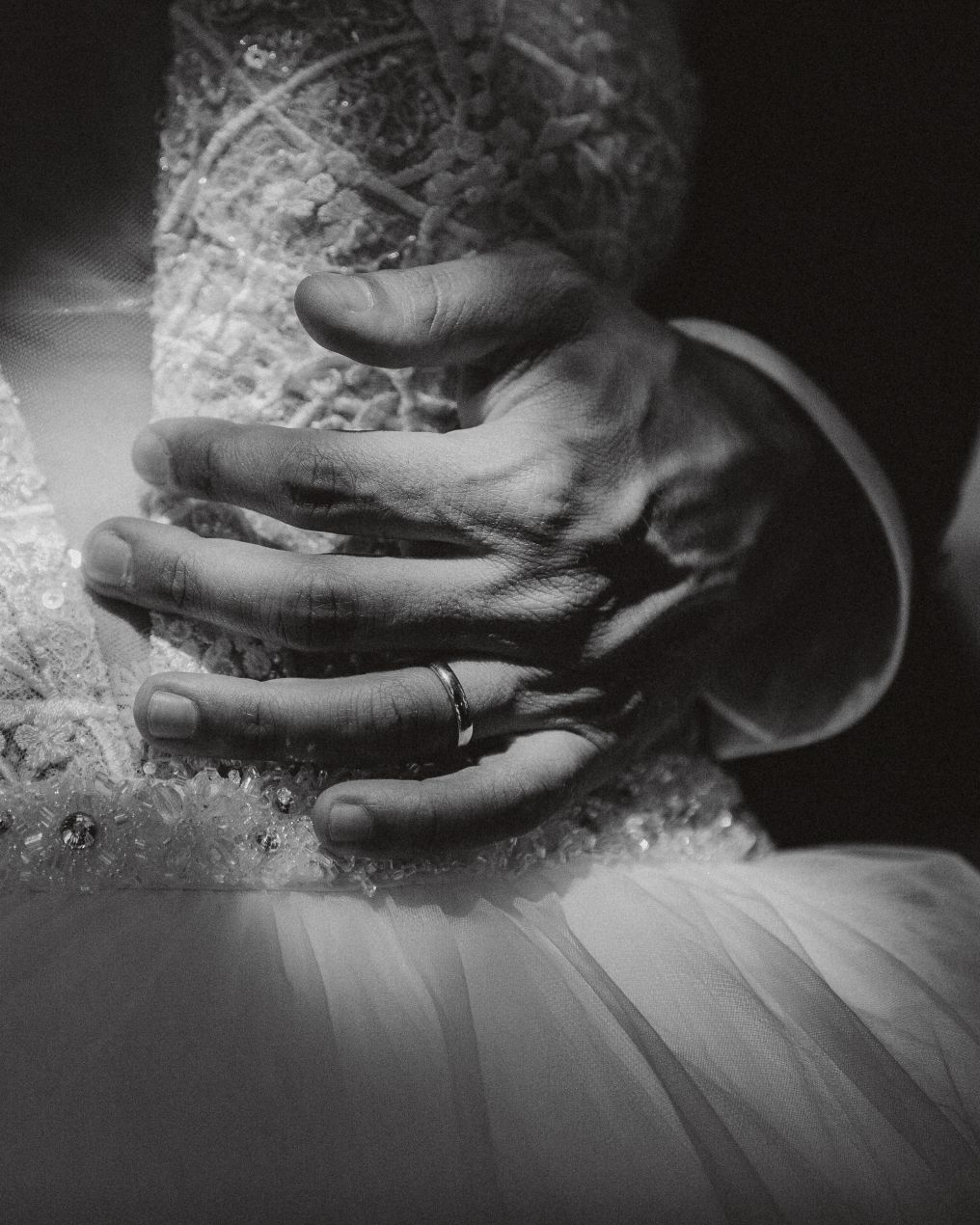 AT Photographic studio Photographer photo