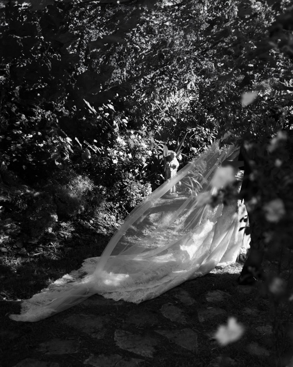 AT Photographic studio Photographer photo