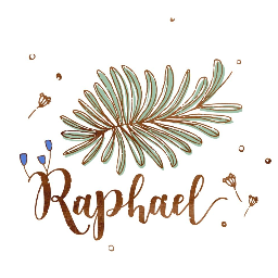 Raphael Chen Photographer