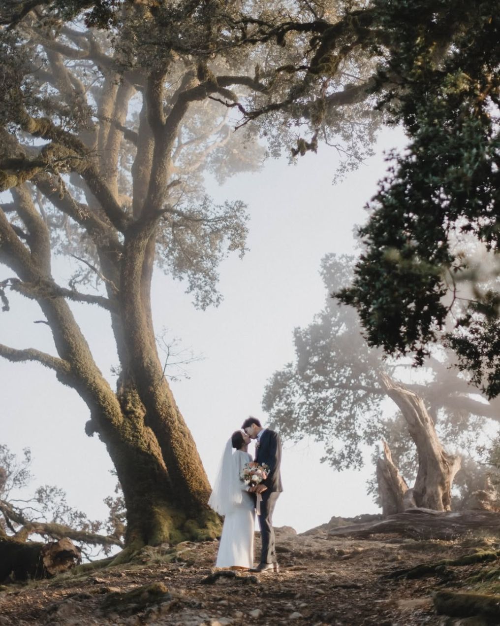 Vanol Chen Photographer photo