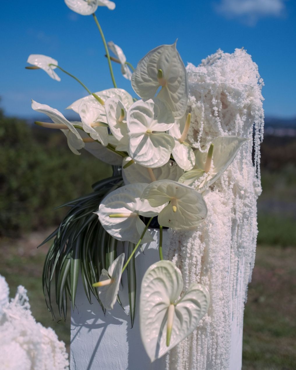 Valéria Rassomakhina Florist photo