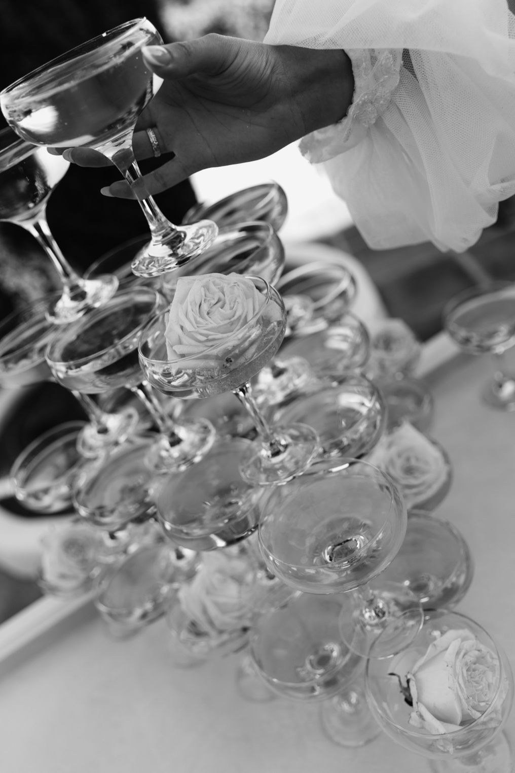 Melissa Belmonte Photography & Video Photographer photo