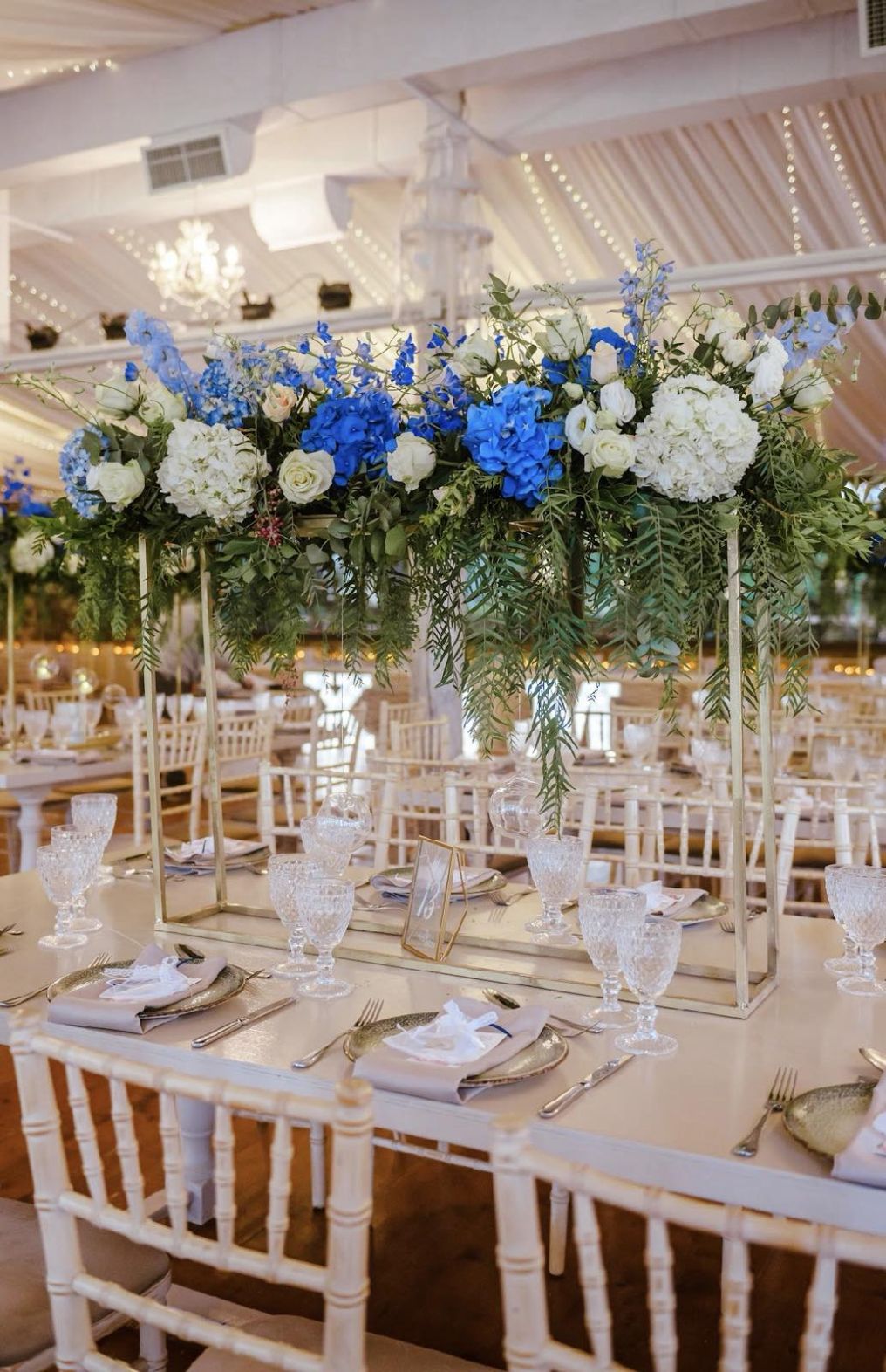 Flowers-Bonsai Collection Florist photo