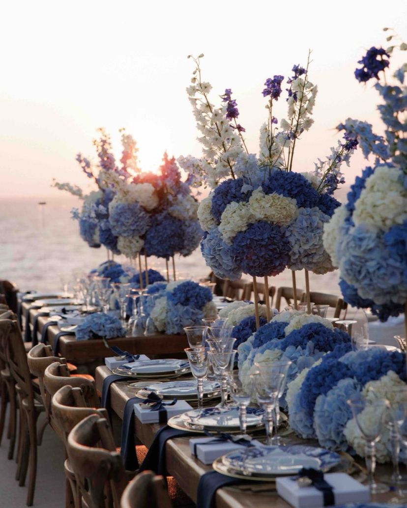 Flowers-Bonsai Collection Florist